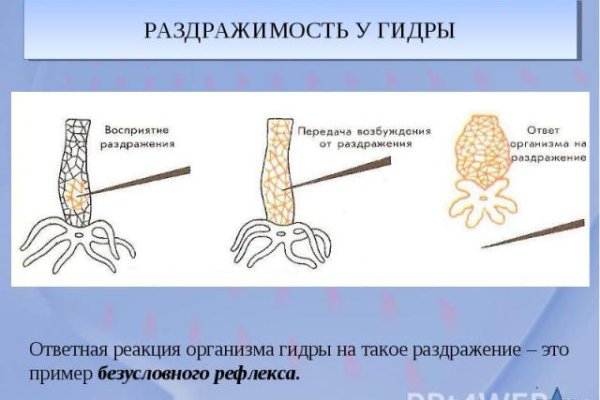 Зеркало кракен kr2web in