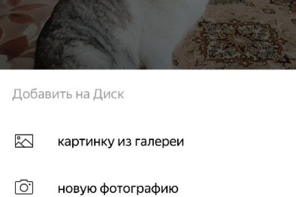 Kraken market ссылка тор