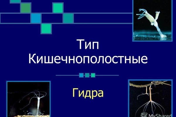 Кракен сайт kr2web in зарегистрироваться