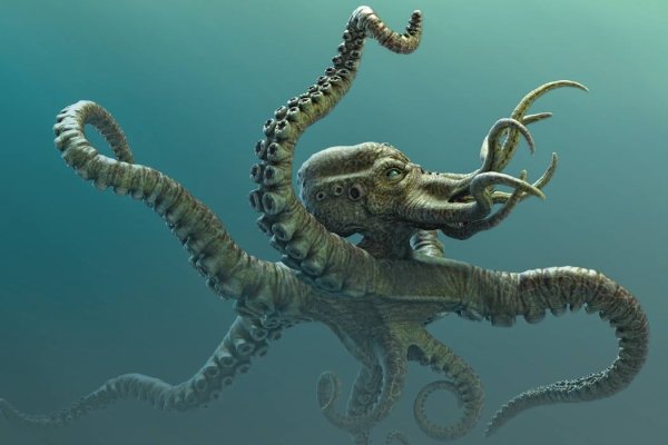 Kraken ссылка зеркало официальный сайт